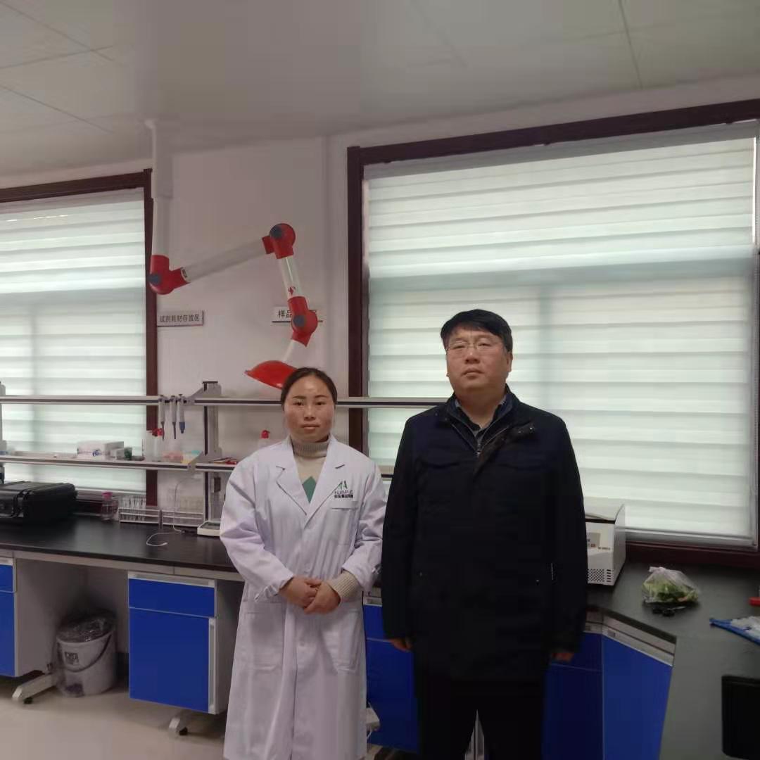 庐江县快检照片